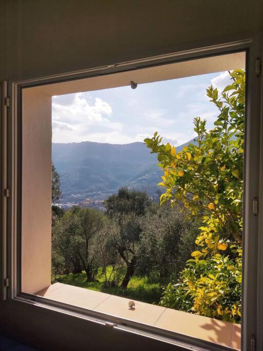 Bas De Villa. Cote D'Azur, A 20 Kms De Nice Contes  Exterior photo